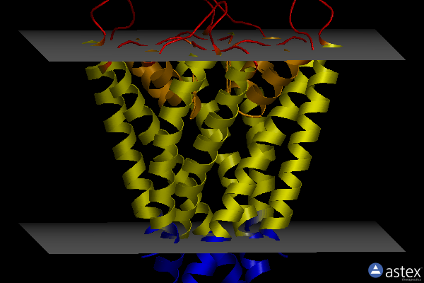 Membrane view of 6nfu