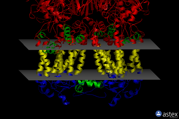 Membrane view of 6nhh