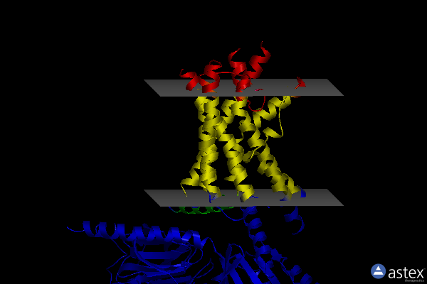 Membrane view of 6niy