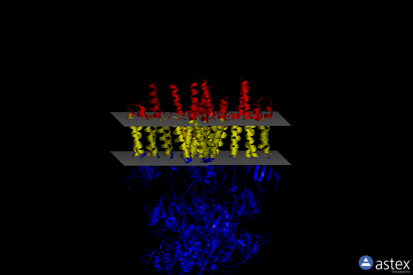 Membrane view of 6njn