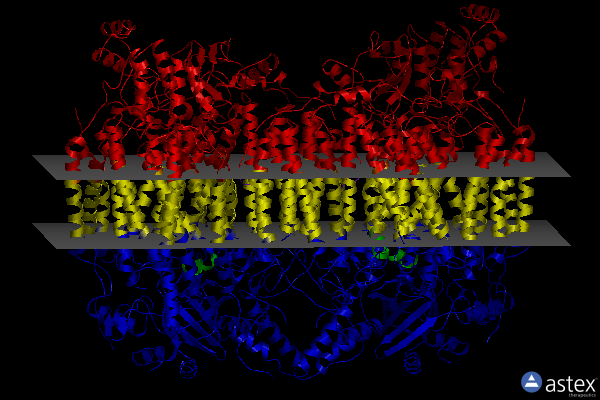 Membrane view of 6nmp