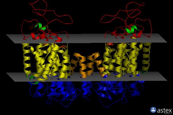 Membrane view of 6nph