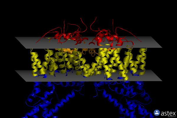Membrane view of 6nq1