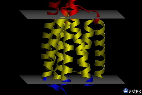 Membrane view of 6nq7
