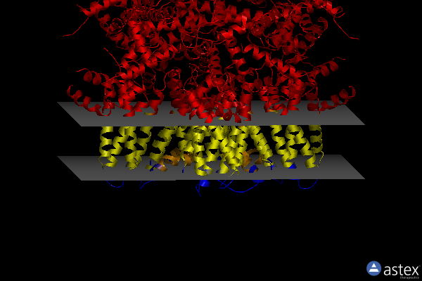 Membrane view of 6nr2