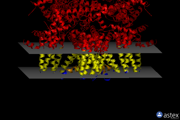 Membrane view of 6nr3