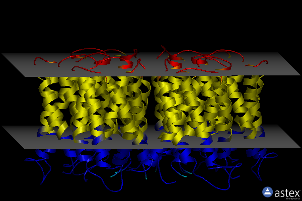 Membrane view of 6nsk