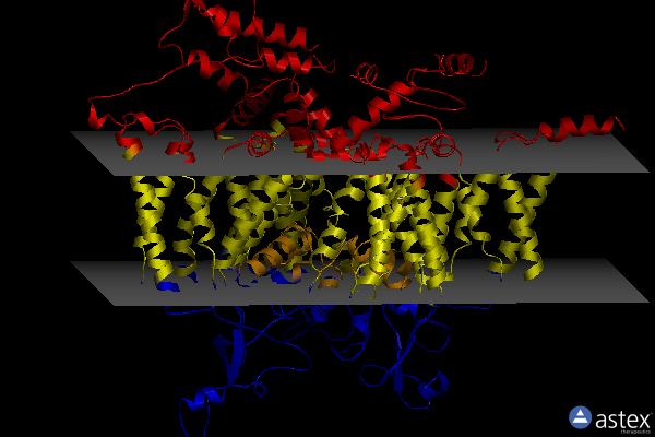 Membrane view of 6nt3