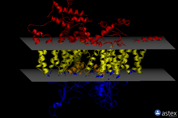 Membrane view of 6nt4