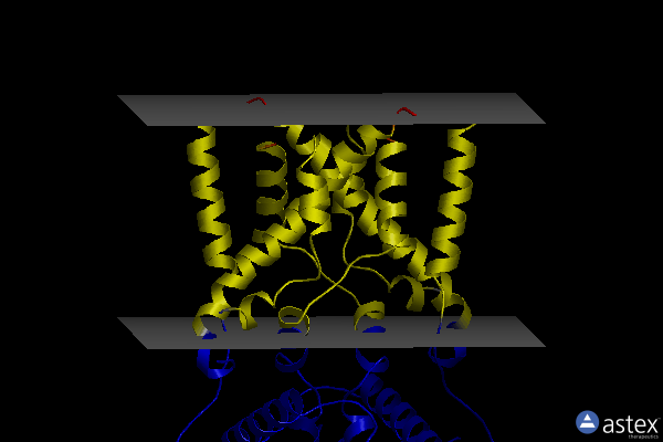 Membrane view of 6nt7