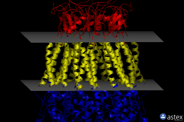 Membrane view of 6nzw