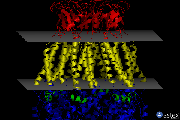 Membrane view of 6nzz