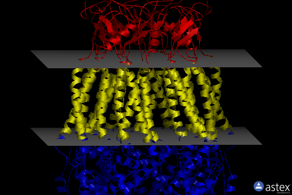 Membrane view of 6o00