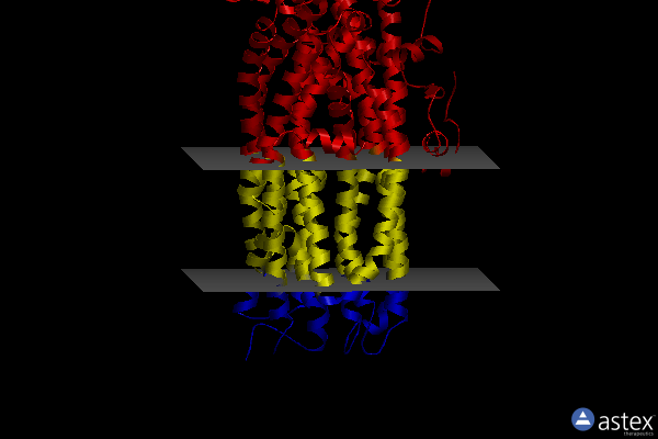 Membrane view of 6o2p
