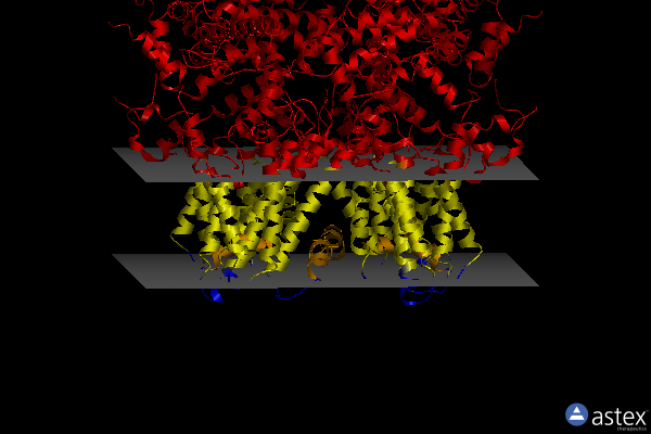 Membrane view of 6o6r