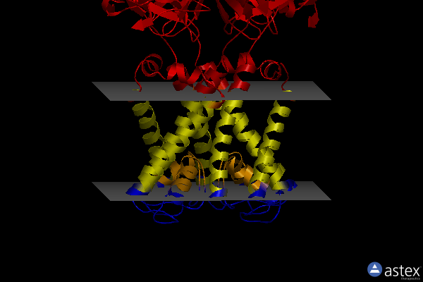 Membrane view of 6o9t