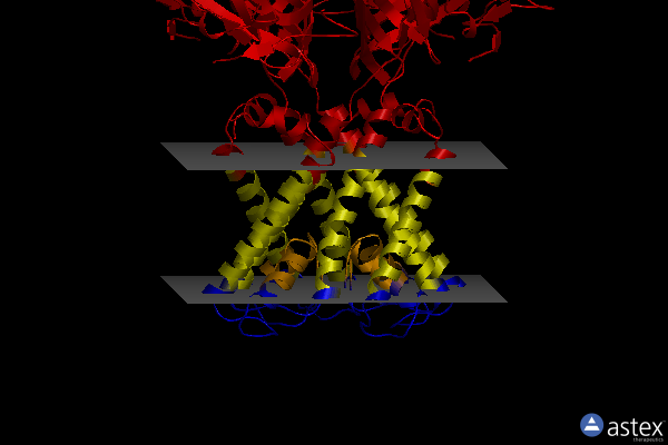 Membrane view of 6o9u