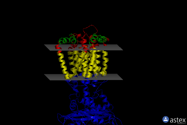 Membrane view of 6oev