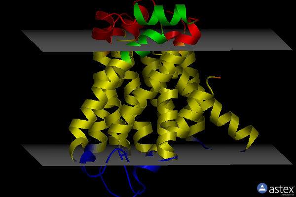 Membrane view of 6oh4