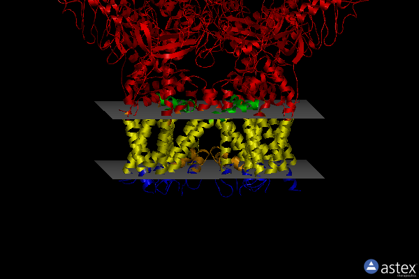Membrane view of 6oo3
