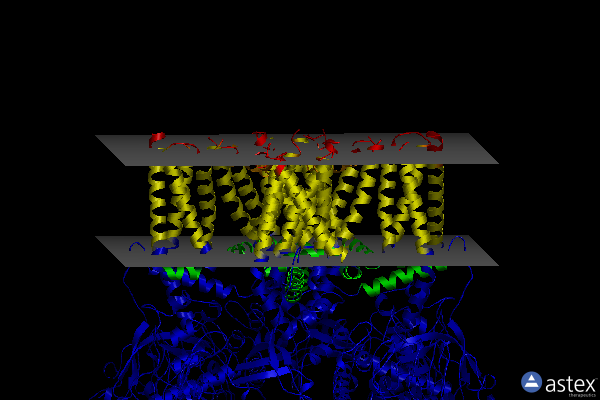 Membrane view of 6oo7