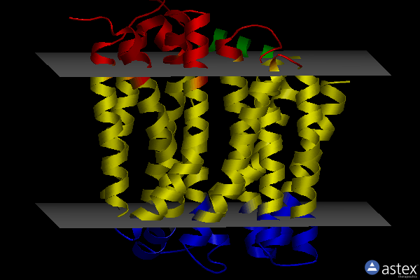 Membrane view of 6oop