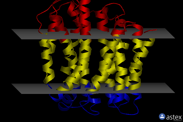 Membrane view of 6ooq