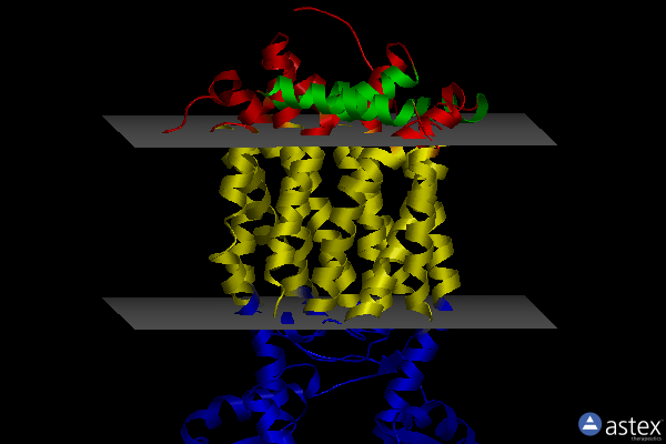 Membrane view of 6or2