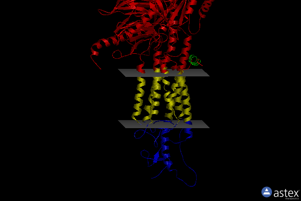 Membrane view of 6ot0