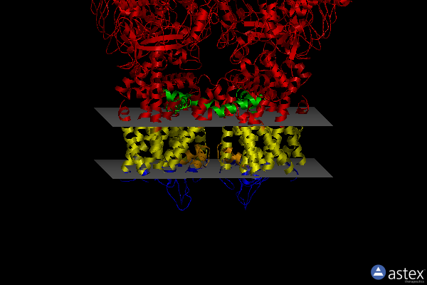 Membrane view of 6ot2