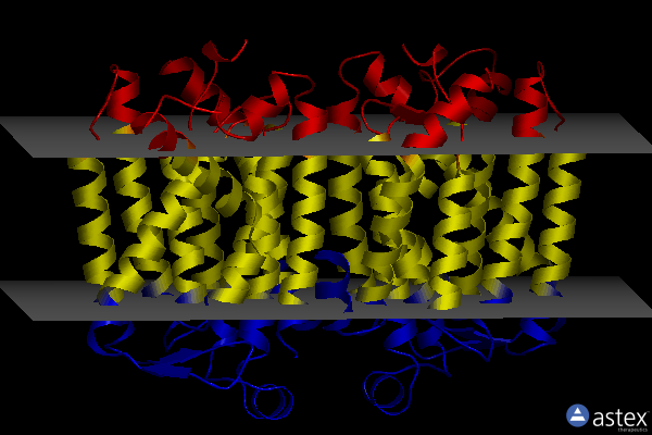 Membrane view of 6oyh
