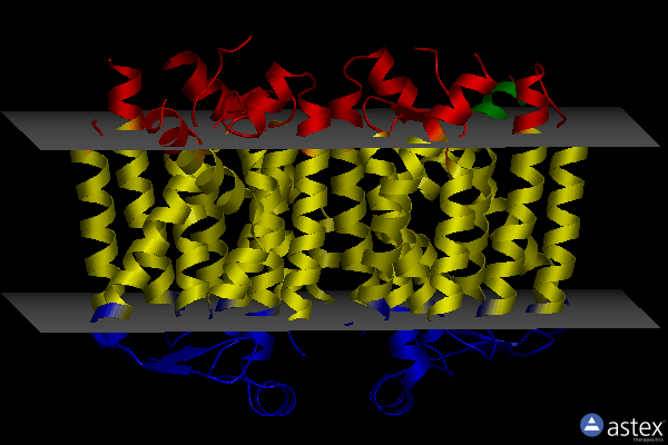 Membrane view of 6oyz