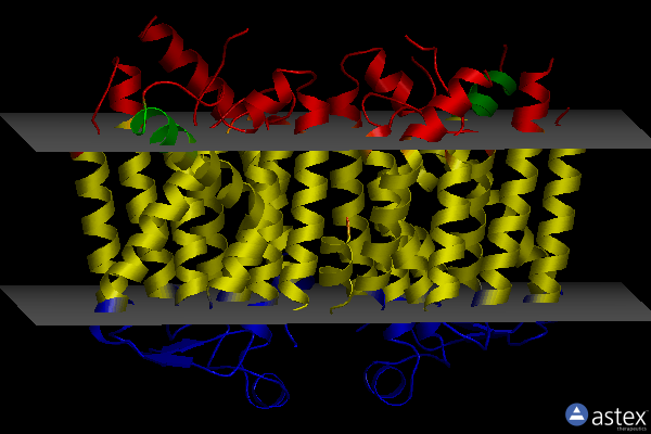 Membrane view of 6oz6