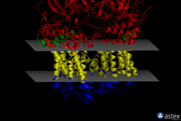 Membrane view of 6p2r