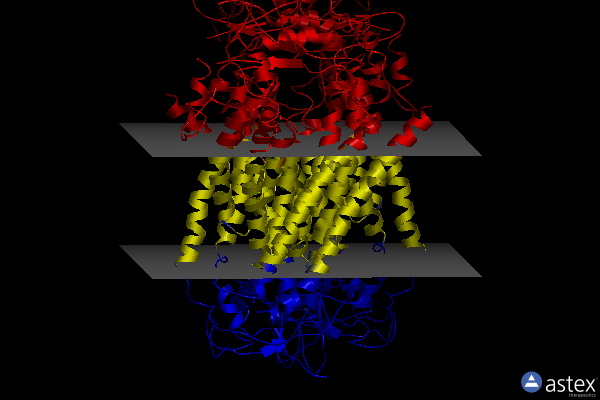 Membrane view of 6p46