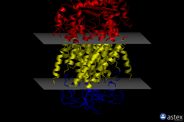 Membrane view of 6p48
