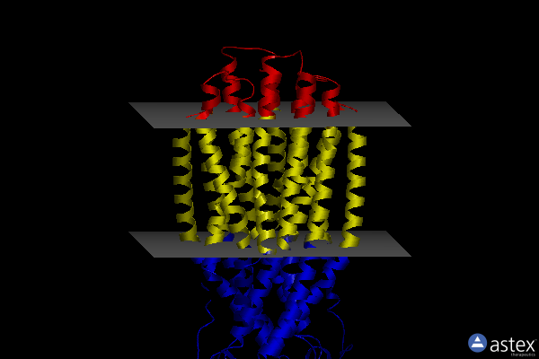 Membrane view of 6pan