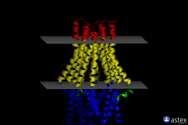 Membrane view of 6par