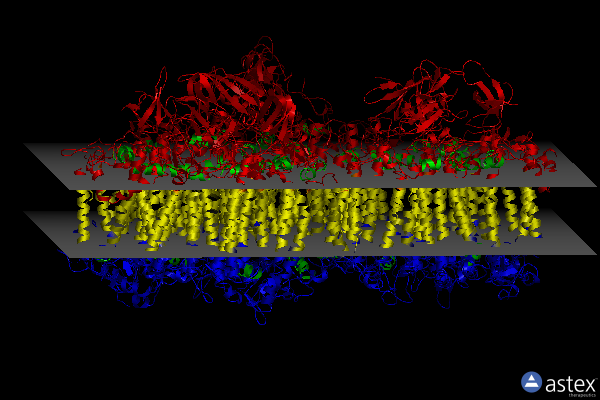 Membrane view of 6pgk