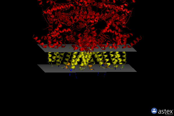 Membrane view of 6pkv