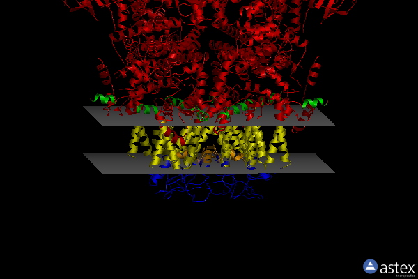 Membrane view of 6pkx
