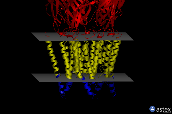 Membrane view of 6plp