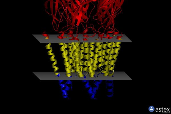 Membrane view of 6plr