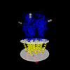6plr