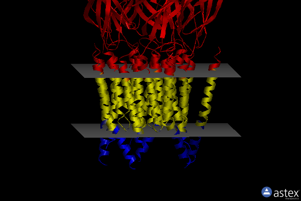 Membrane view of 6plt