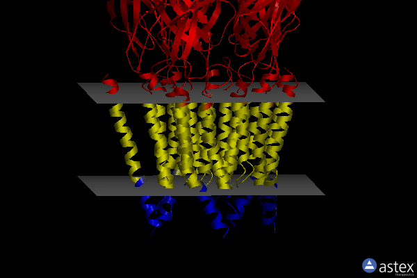 Membrane view of 6plu
