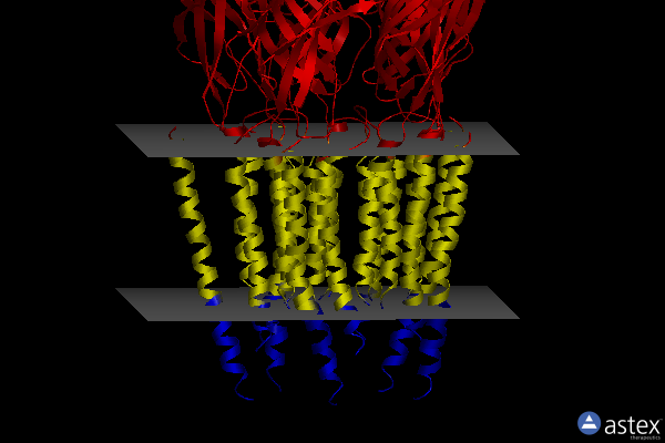 Membrane view of 6pm0