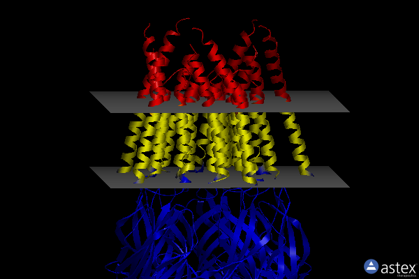 Membrane view of 6pm5