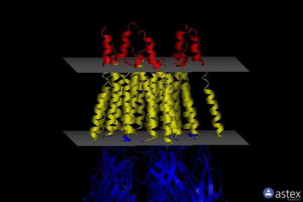 Membrane view of 6pm6