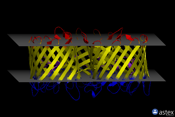 Membrane view of 6prn